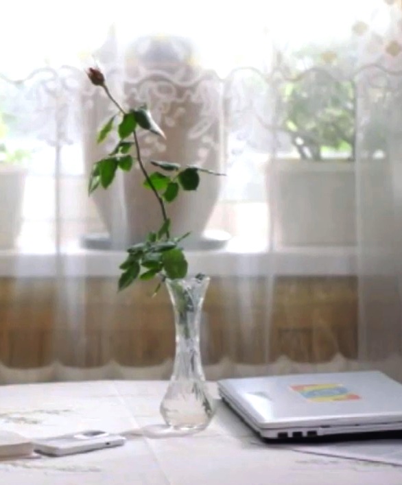 Бутон в хрустальной вазе