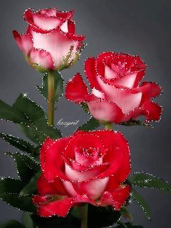 Луизе Медведевой