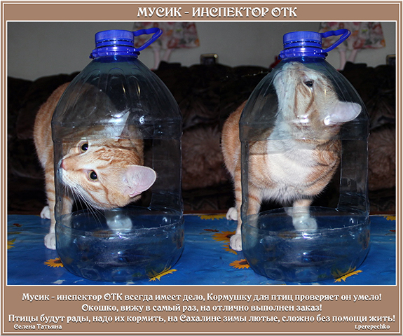 Мусик инспектор ОТК