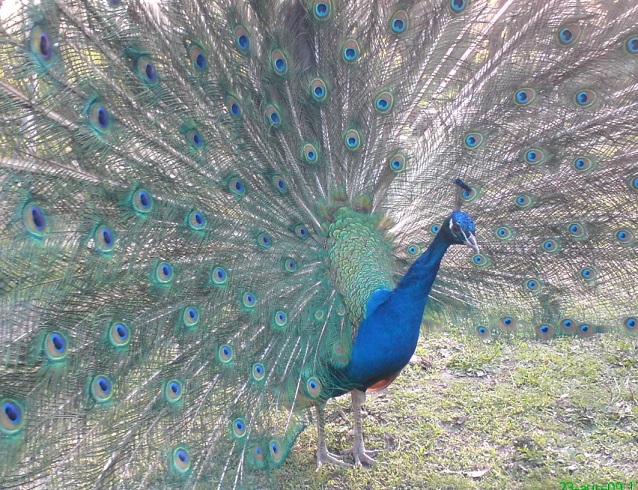 Мир наших девушек! Интрига на интриге!