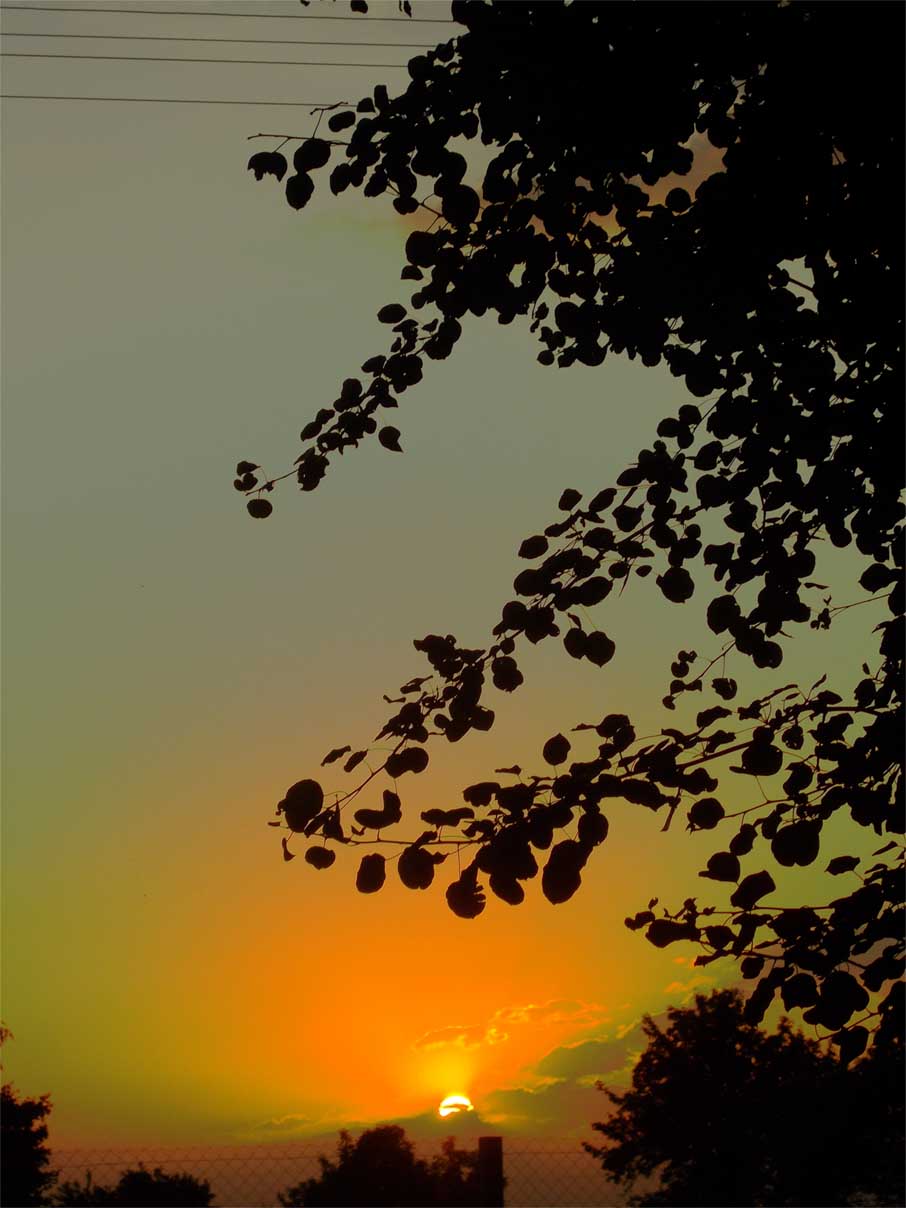 Чудеса в дом ваш влазять?