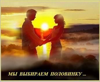 Мы подбираем половинку