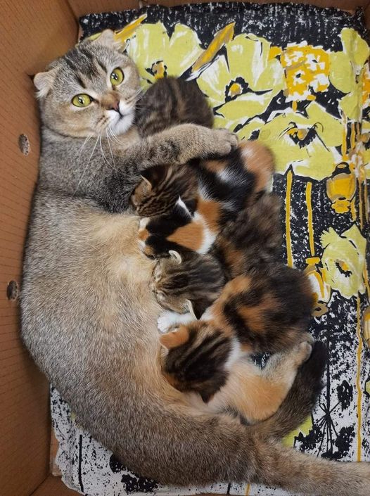 Выращиваю красоту