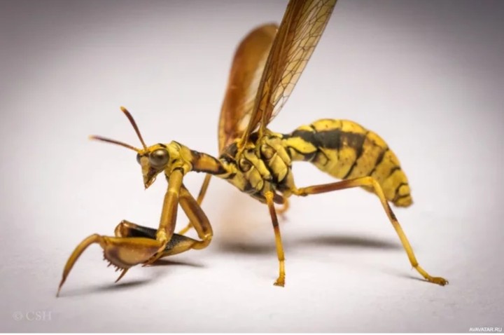 Дитя порока