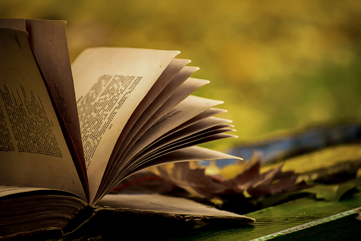 Раскрытая книга
