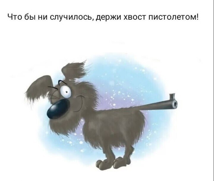 Прикольные иллюстрации. Хвост пистолетом картинки. Хвост пистолетом держись. Держитхвост пистолетом. Хвост пистолетом прикол.