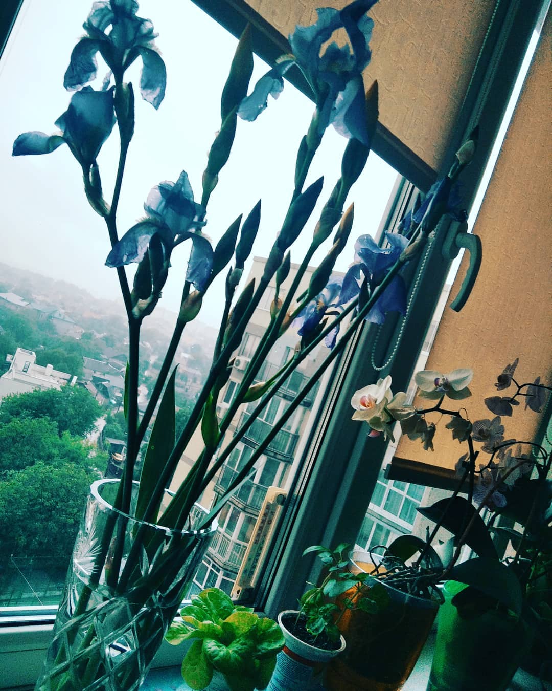 А мне сегодня хочется о грустном