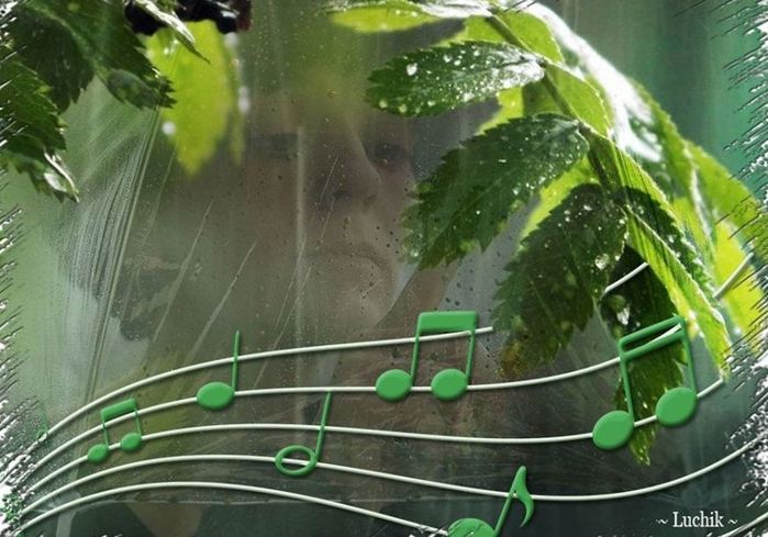 Дождливая рапсодия