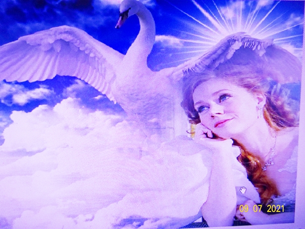 Фантазия - птица