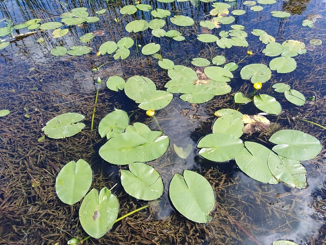 Не речушка сказка!