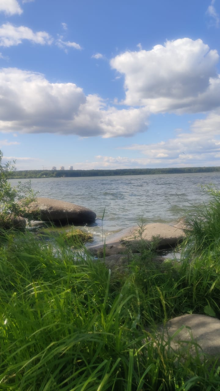 Летние грезы