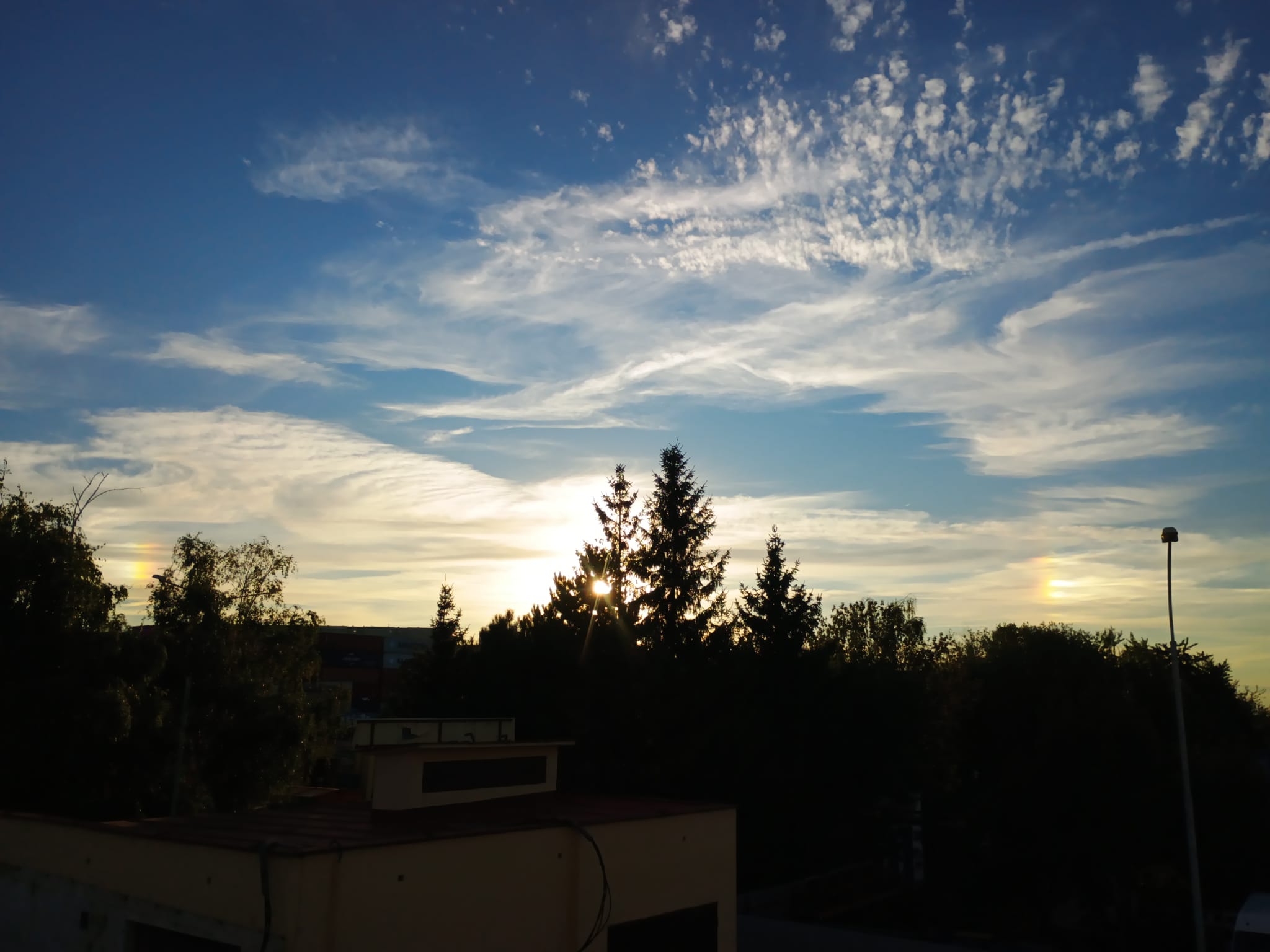 Золотая рыбка