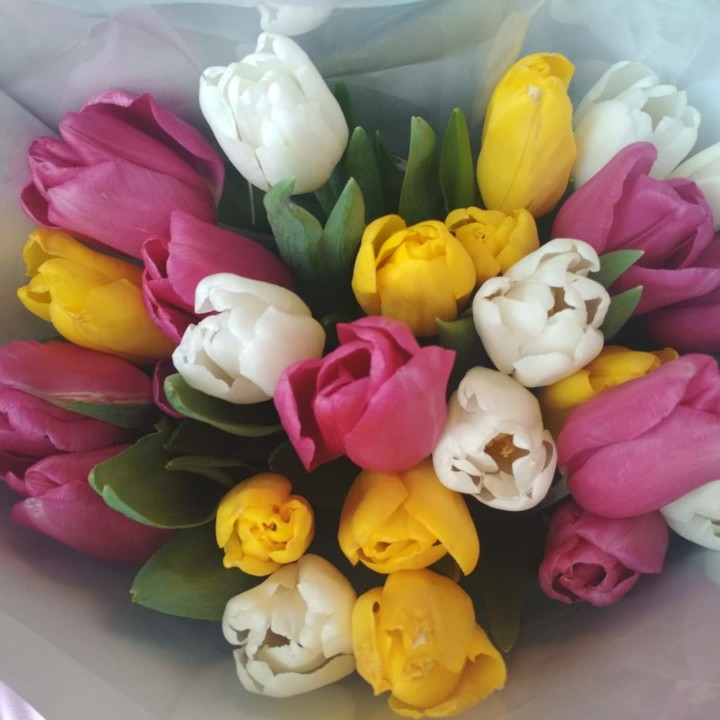 Страх сковывает разум