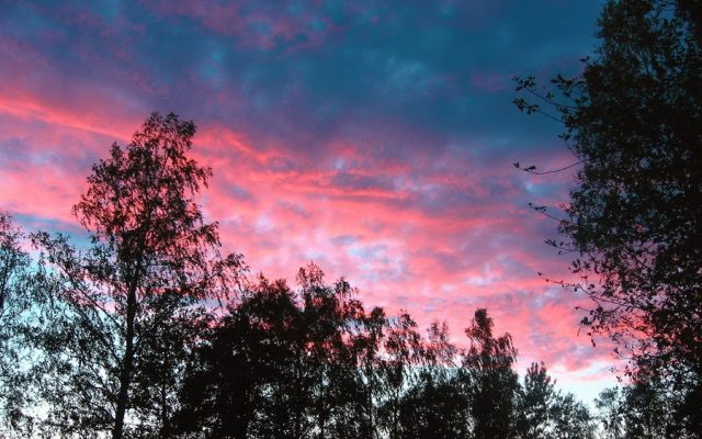 Розовые облака в июльский вечер