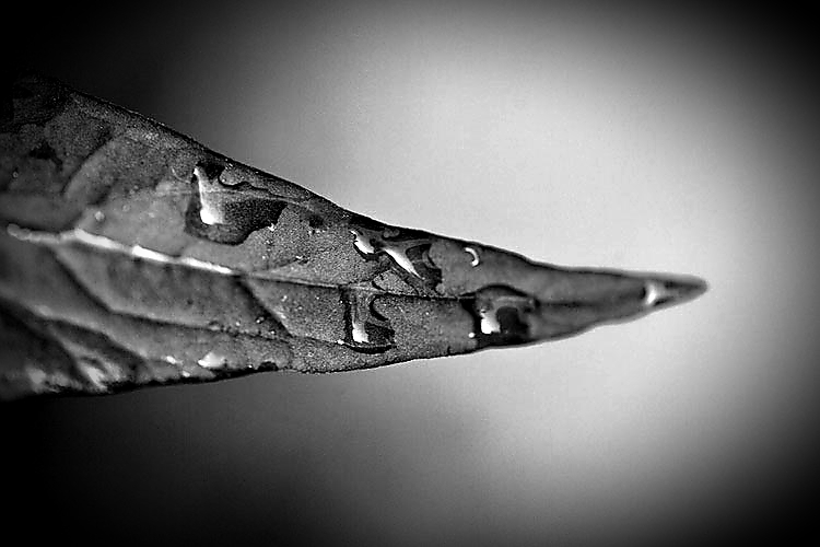 Минет и куннилингус