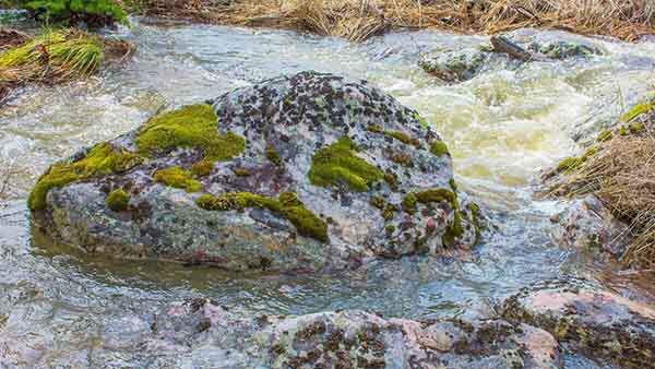 Вода и Камень