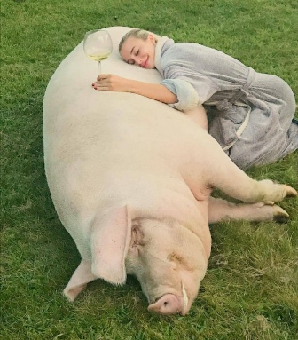 Кто свинье не товарищ