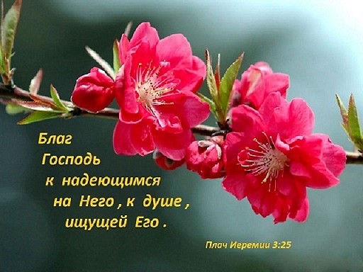 Бог есть Любовь, она в душе