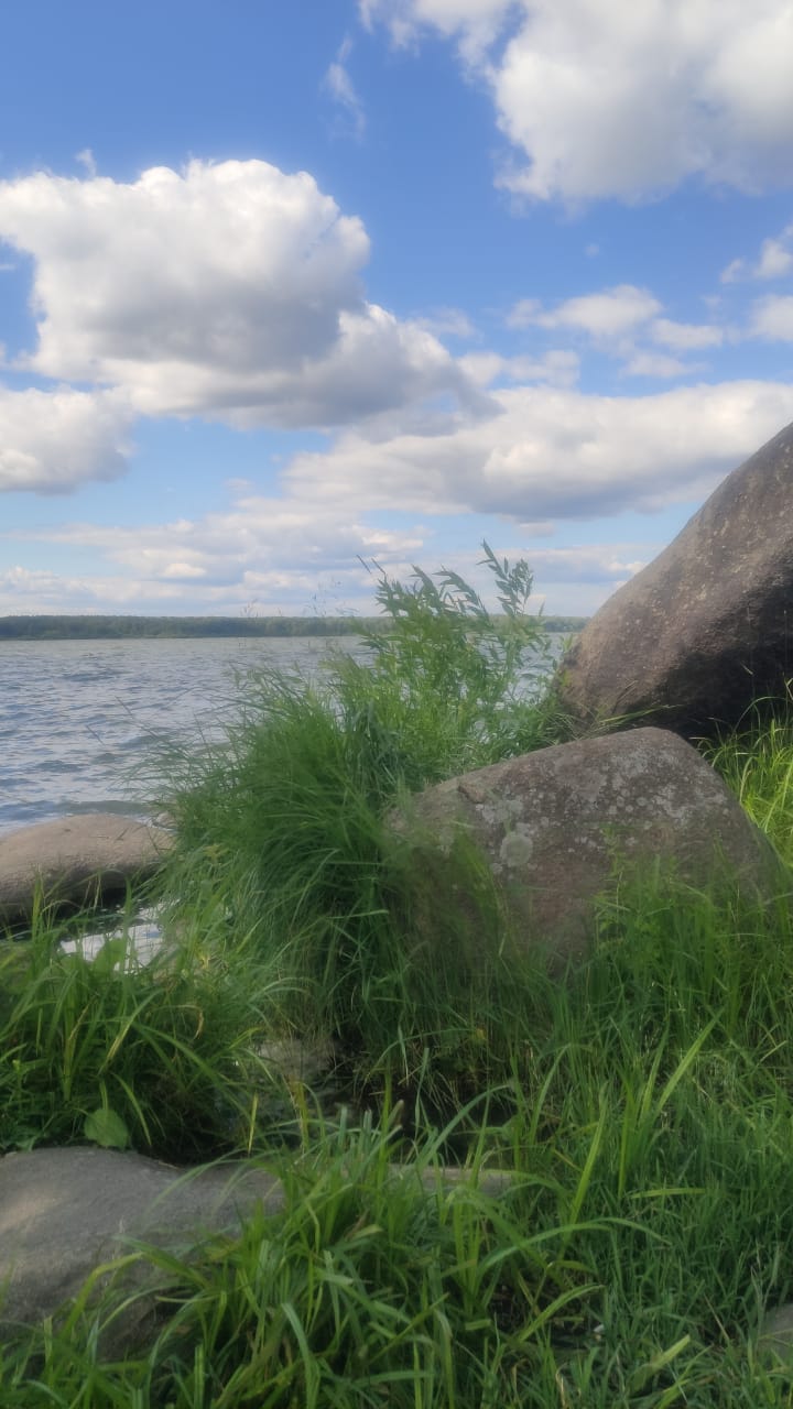 Июльский кораблик