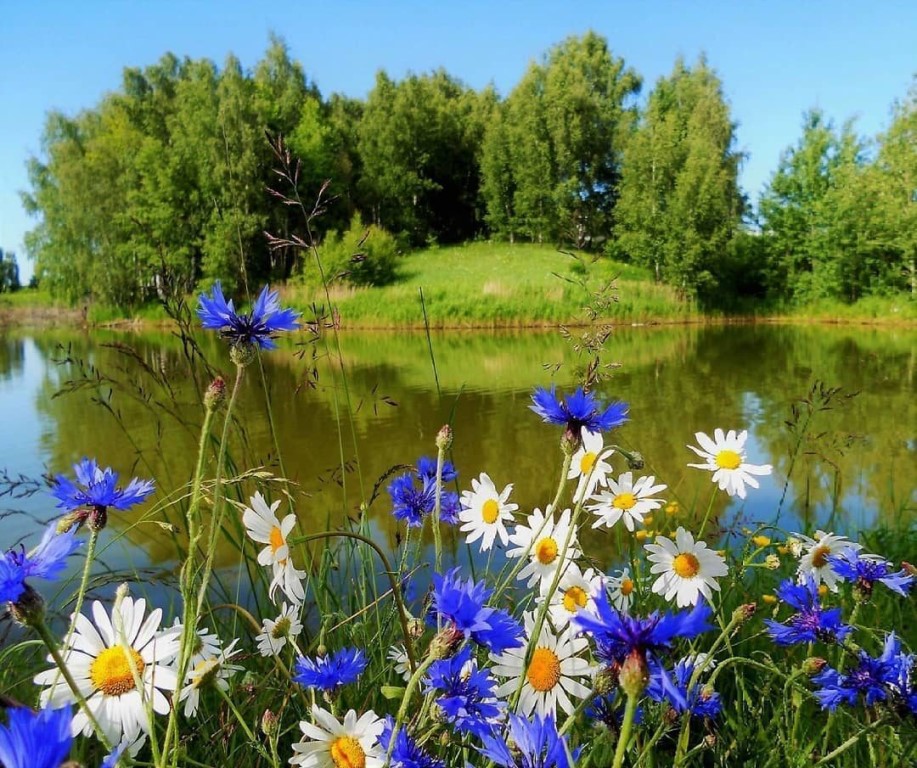 https://stihi.ru/pics/2021/07/21/4621.jpg