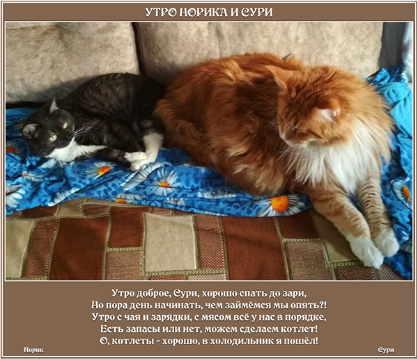 Утро Норика и Сури