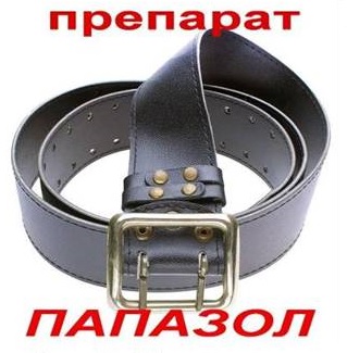 Верный друг