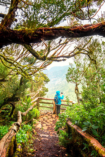 Наедине с природой