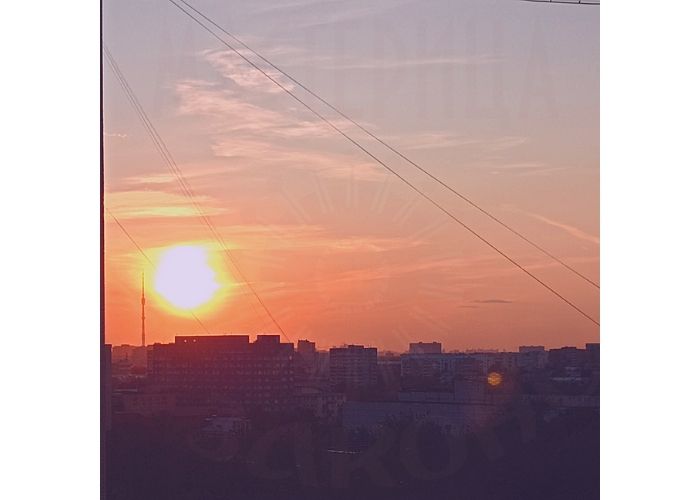 Разум