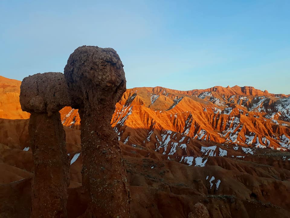 Пустынники