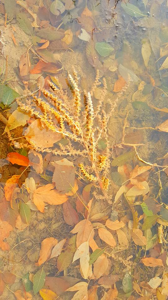 Прежде, чем сложат нас в люльки-гробы