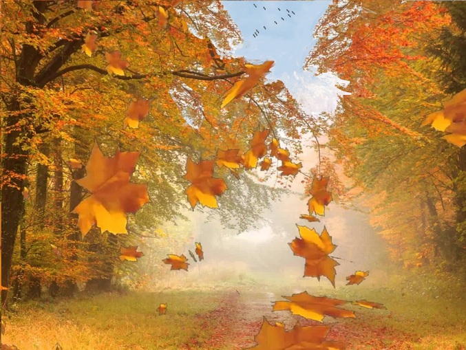 Нынче Осень, и ей золота не жаль