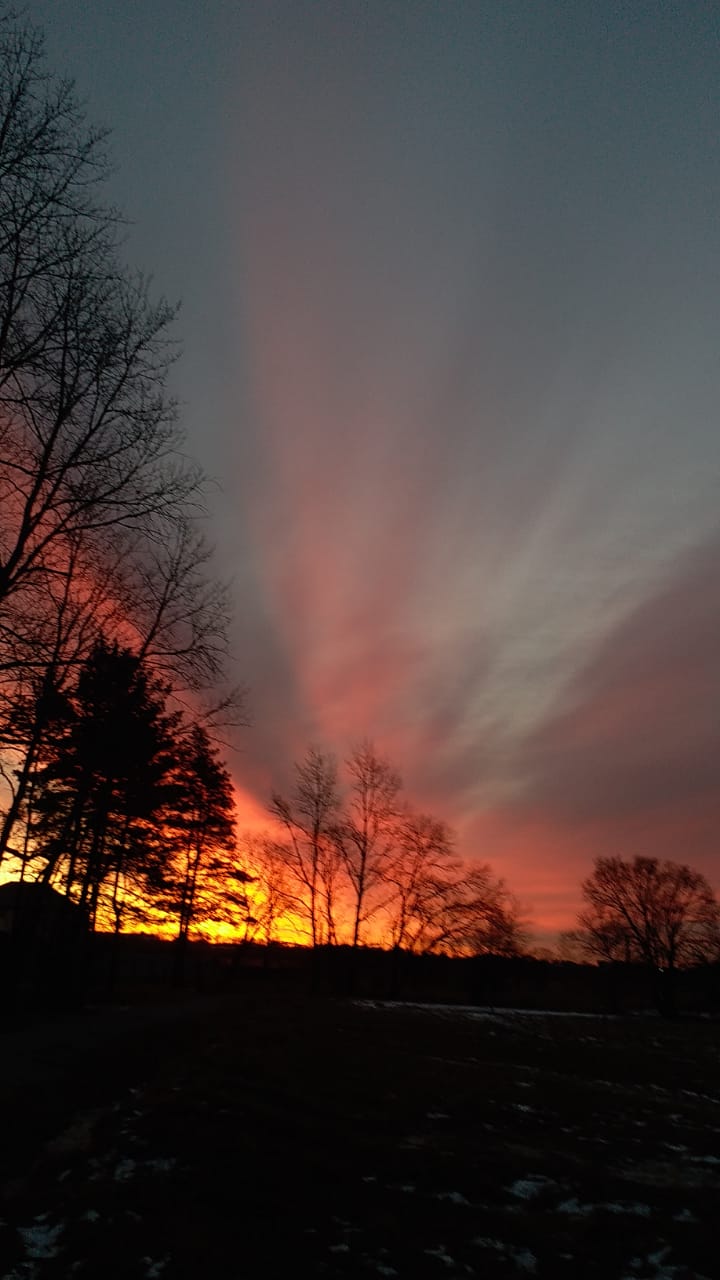 Раздумья после ночных TV новостей