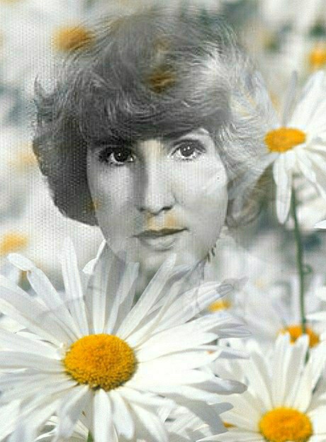 Ромашковая юность