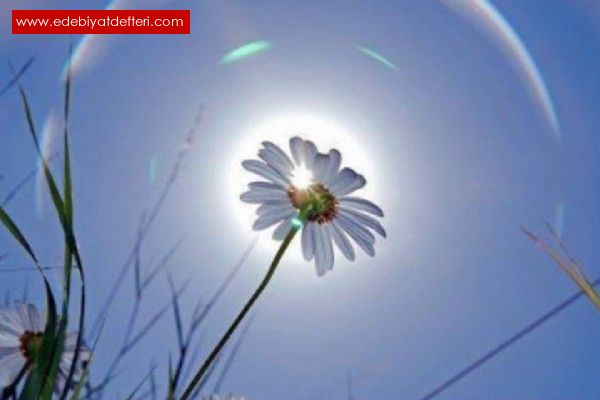 Бог подарил мне небо