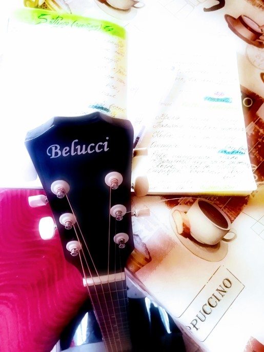 Пуля симбиоз