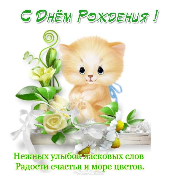 Наше маленькое чудо, чудо из чудес