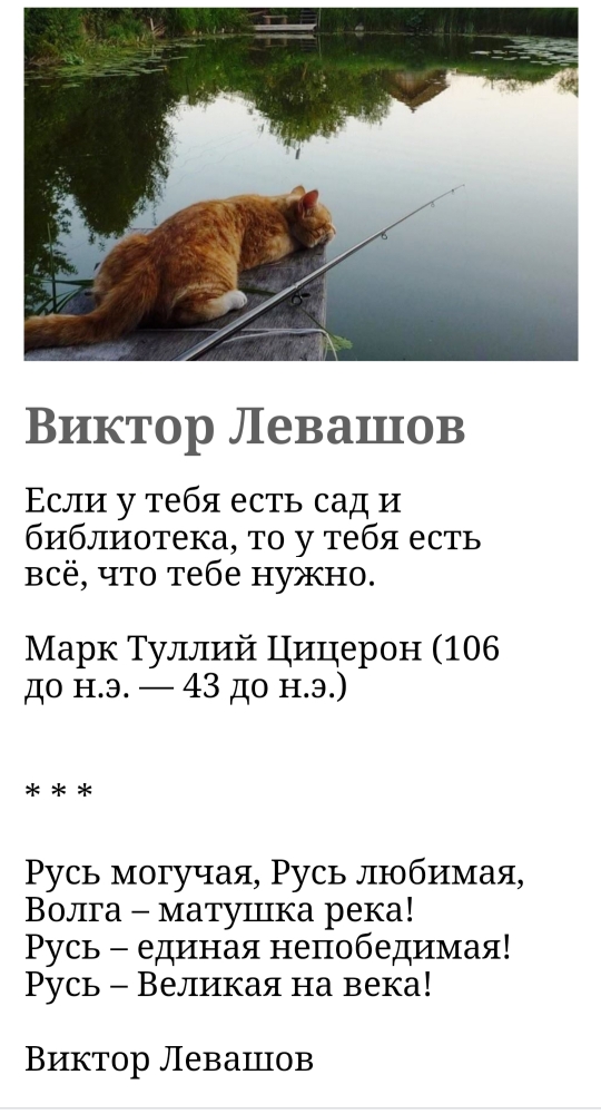 Письма коту под хвост. Письмо 19