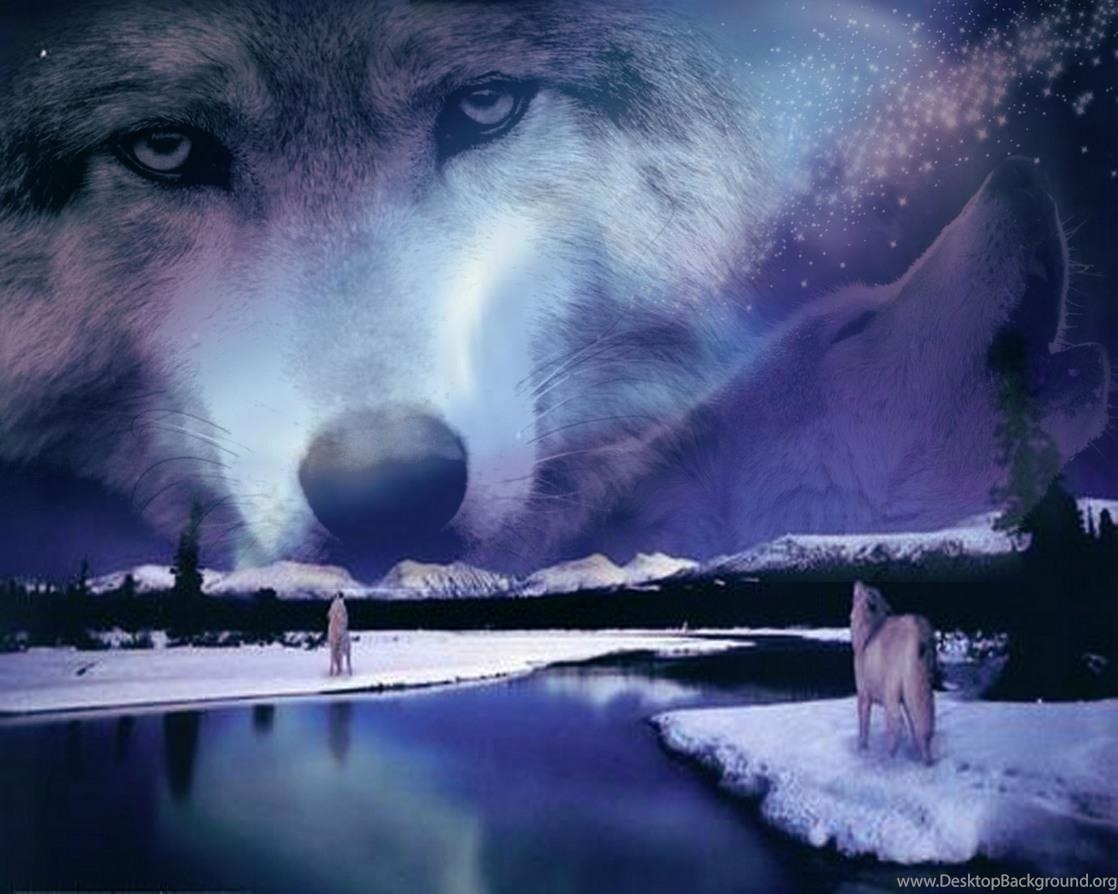 Одинокий волк лучшие песни. Одинокие волки. Одинокий волк. Волк одиночка. Волчица.