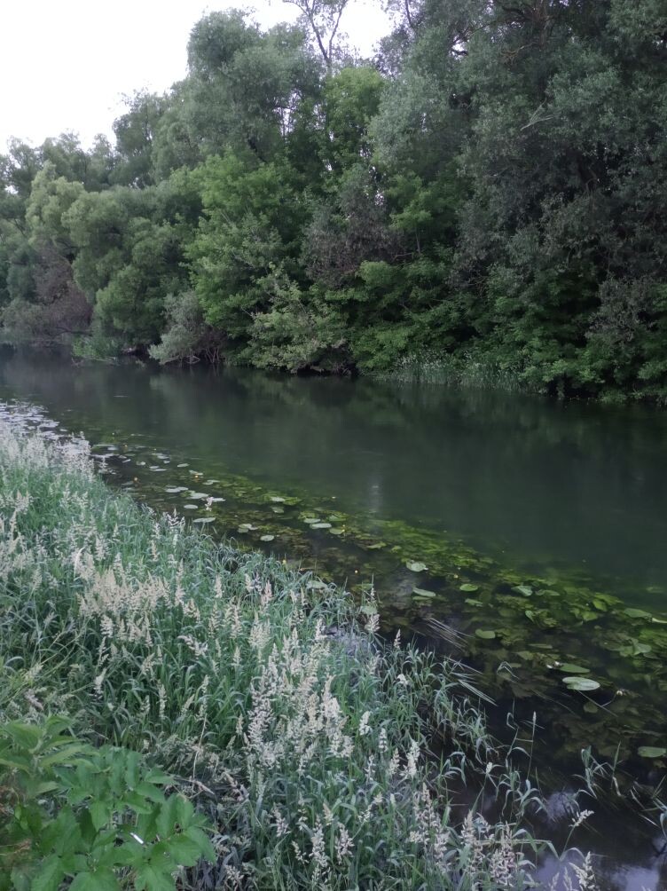 Русское раздолье