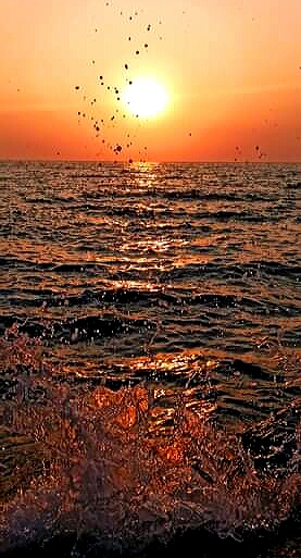 Что мило сердцу моему