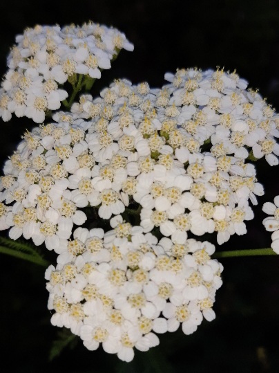 Коротко о не любви 10