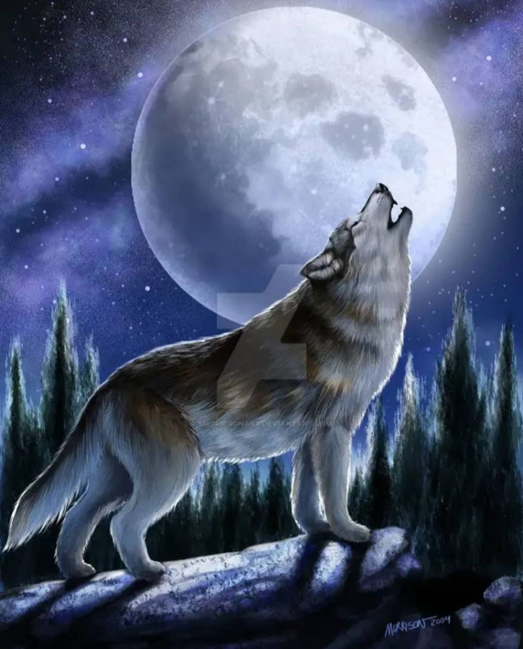 Вой волка на луну песня. Волк воет на луну. Воющий волк. Волк одиночка. Одинокий волк.