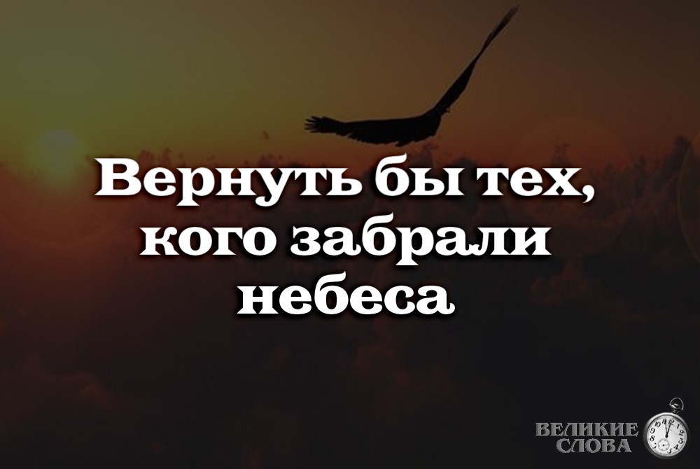 Правила поведения в лесу. Правила поведения на природе. Стихи про тех кого забрали небеса. Улетают души улетают их господь на небо забирает стихи. Вернуть бы тнх каго забрали небеса.