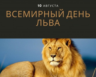День Льва!!!