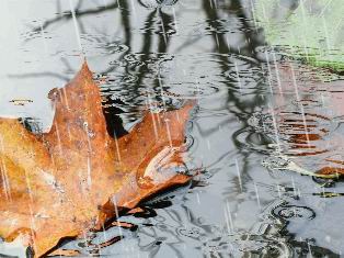 Прощание с летом