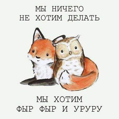 Сказ о спасении ушастых сов казаками в Питере