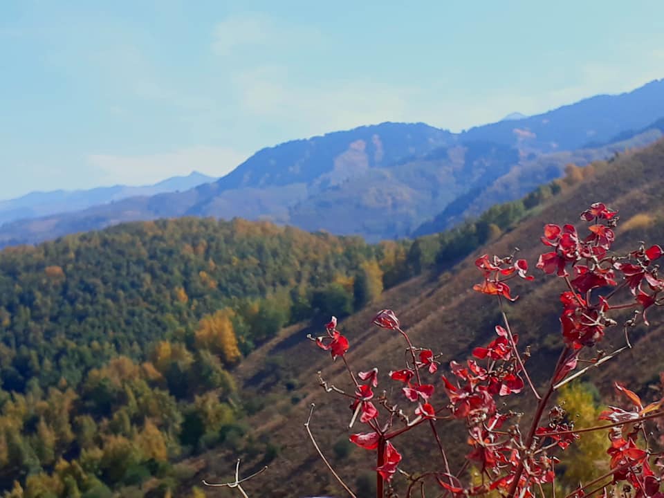 В день памяти апостола Иоанна Богослова
