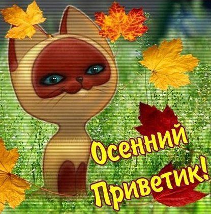 ВСЕМ ПРИВЕТ! - Посидим по-хорошему , пользователь Галина Вечерка Группы Мой Мир