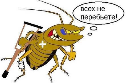 Тараканья битва