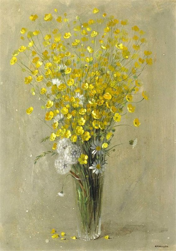 Придорожные цветы